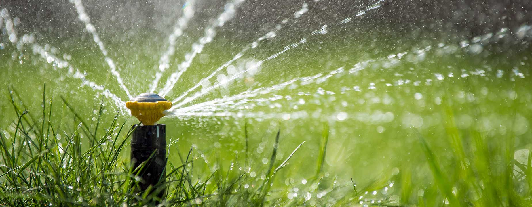 Cisternas Para Água Da Chuva X Sistemas De Irrigação A Combinação Perfeita Para Um Jardim