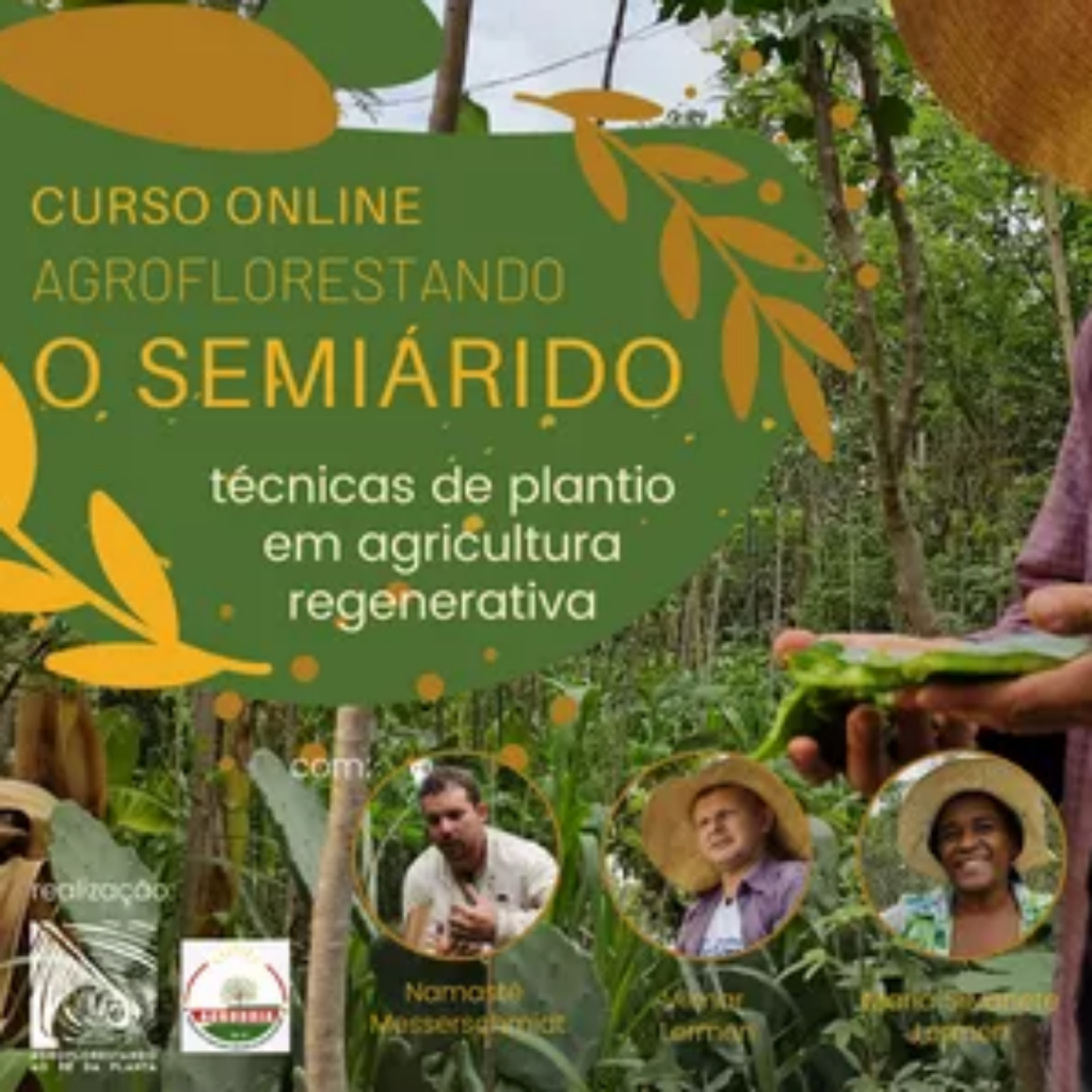 Curso agroflorestando o semiárido