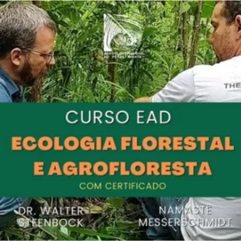 curso ecologia florestal
