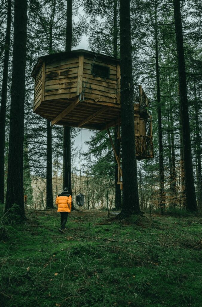 casa na árvore vertical