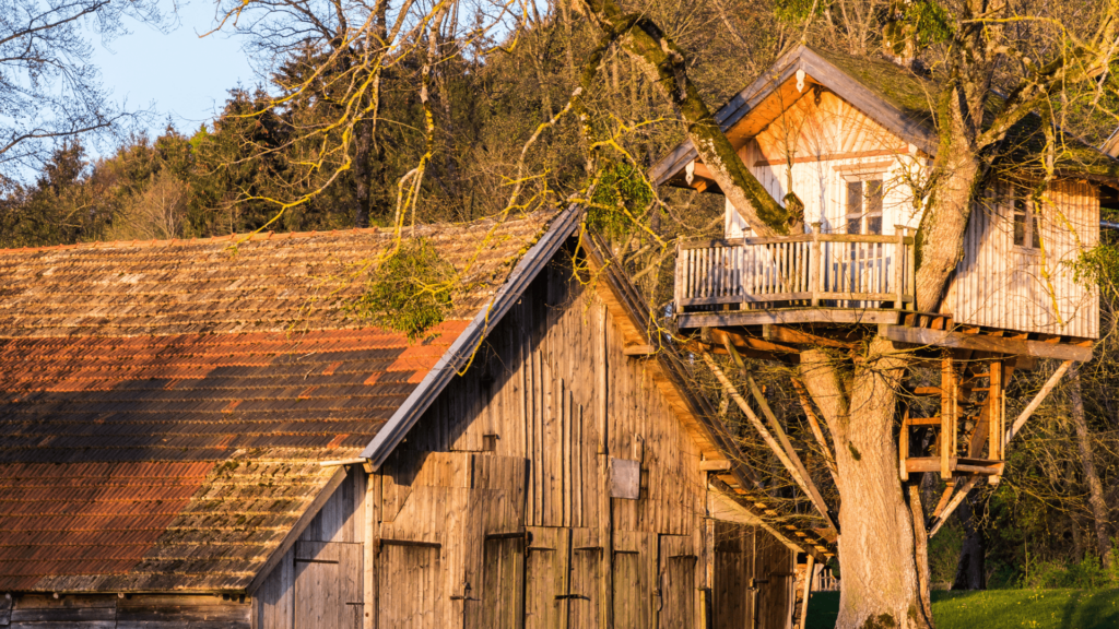 cassa na árvore com casa