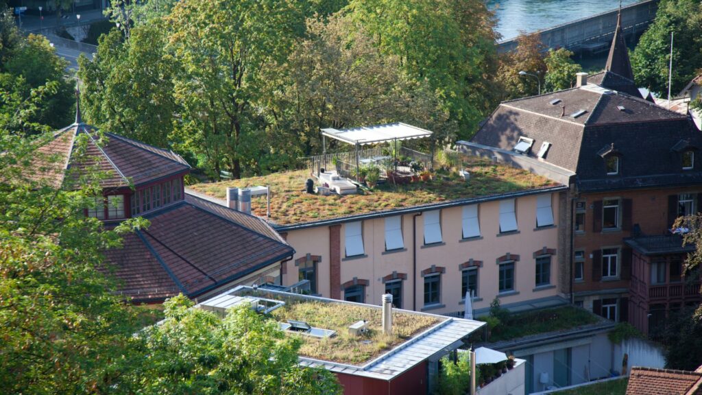 varanda e telhado verde