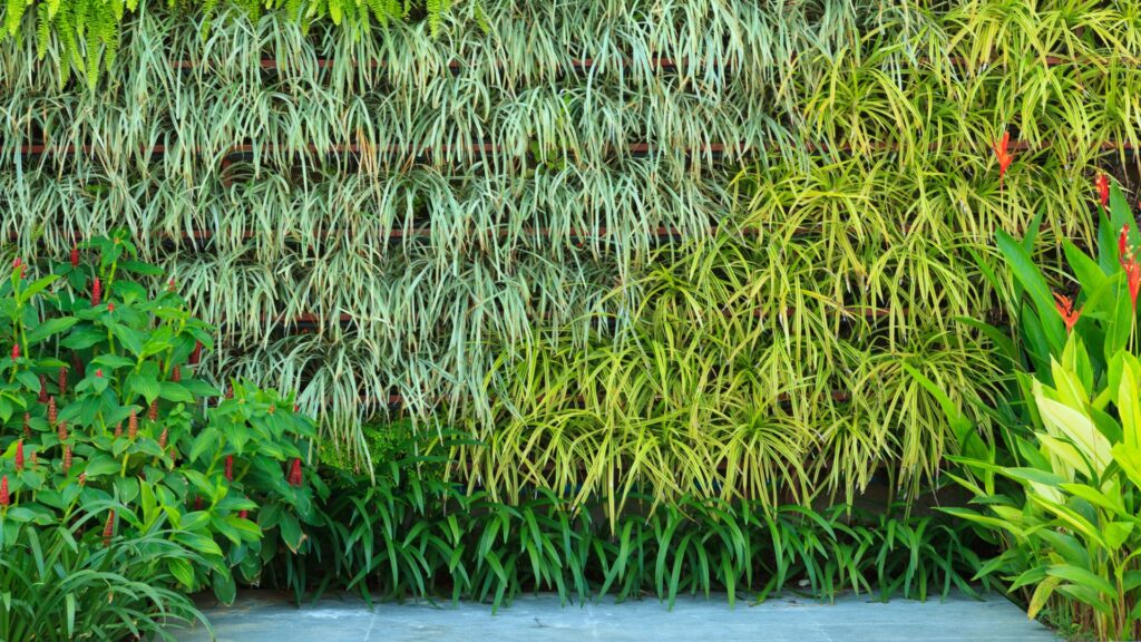 Jardins Verticais - 5