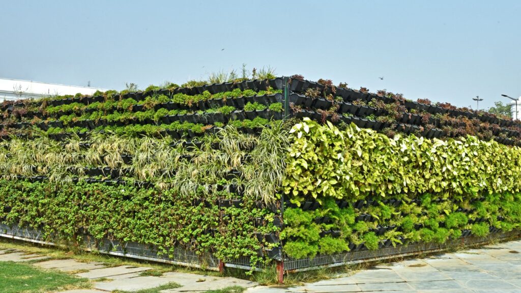 Jardins Verticais - 1