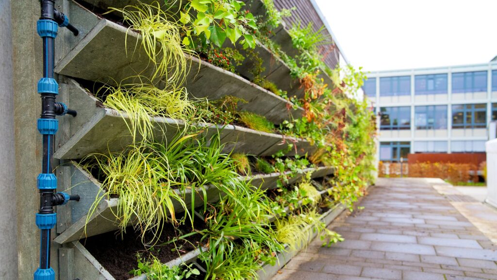 Jardins Verticais - 4
